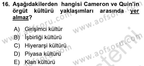 Örgütsel Davranış Dersi 2024 - 2025 Yılı (Vize) Ara Sınav Soruları 16. Soru