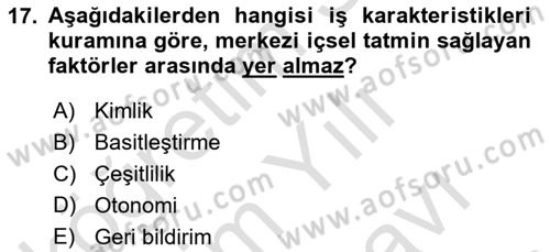 Örgütsel Davranış Dersi 2024 - 2025 Yılı (Vize) Ara Sınav Soruları 17. Soru