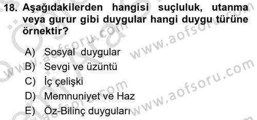 Örgütsel Davranış Dersi 2024 - 2025 Yılı (Vize) Ara Sınav Soruları 18. Soru