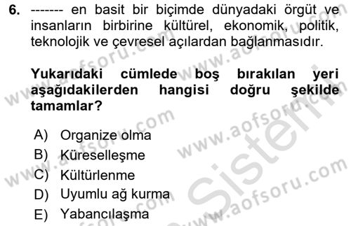 Örgütsel Davranış Dersi 2024 - 2025 Yılı (Vize) Ara Sınav Soruları 6. Soru