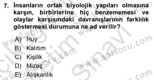 Örgütsel Davranış Dersi 2024 - 2025 Yılı (Vize) Ara Sınav Soruları 7. Soru
