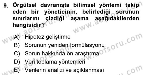Örgütsel Davranış Dersi 2024 - 2025 Yılı (Vize) Ara Sınav Soruları 9. Soru