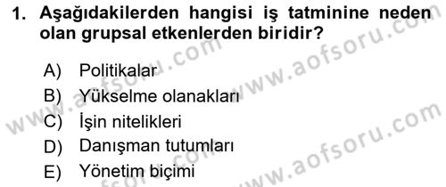 Örgütsel Davranış Dersi 2024 - 2025 Yılı (Final) Dönem Sonu Sınav Soruları 1. Soru