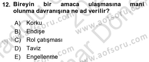 Örgütsel Davranış Dersi 2024 - 2025 Yılı (Final) Dönem Sonu Sınav Soruları 12. Soru