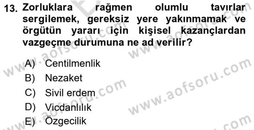 Örgütsel Davranış Dersi 2024 - 2025 Yılı (Final) Dönem Sonu Sınav Soruları 13. Soru