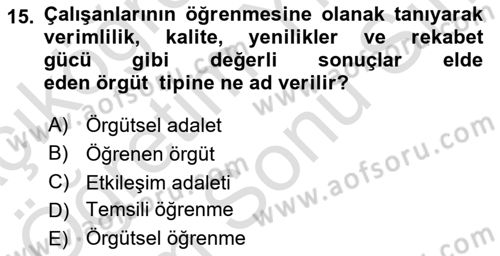 Örgütsel Davranış Dersi 2024 - 2025 Yılı (Final) Dönem Sonu Sınav Soruları 15. Soru