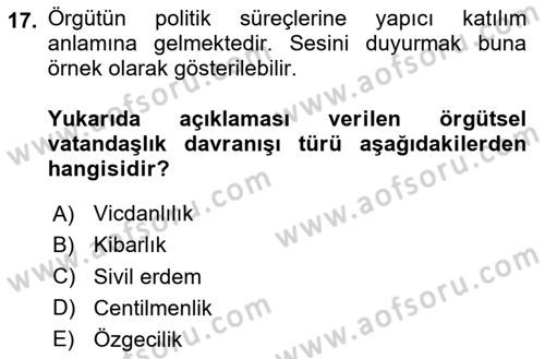 Örgütsel Davranış Dersi 2024 - 2025 Yılı (Final) Dönem Sonu Sınav Soruları 17. Soru