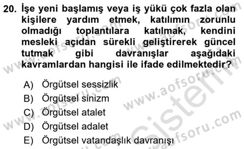 Örgütsel Davranış Dersi 2024 - 2025 Yılı (Final) Dönem Sonu Sınav Soruları 20. Soru