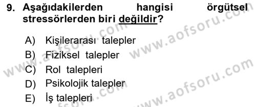 Örgütsel Davranış Dersi 2024 - 2025 Yılı (Final) Dönem Sonu Sınav Soruları 9. Soru