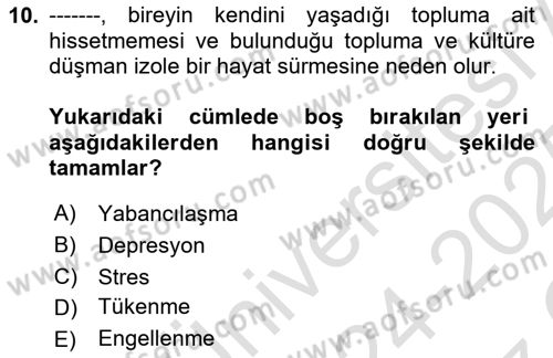 Örgütsel Davranış Dersi 2024 - 2025 Yılı Yaz Okulu Sınav Soruları 10. Soru
