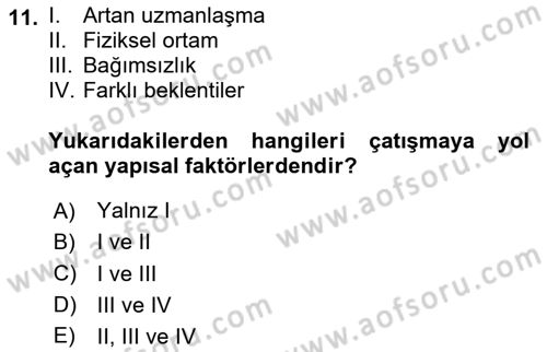 Örgütsel Davranış Dersi 2024 - 2025 Yılı Yaz Okulu Sınav Soruları 11. Soru