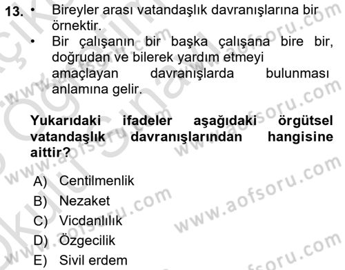 Örgütsel Davranış Dersi 2024 - 2025 Yılı Yaz Okulu Sınav Soruları 13. Soru