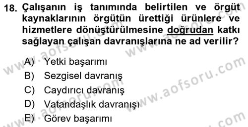 Örgütsel Davranış Dersi 2024 - 2025 Yılı Yaz Okulu Sınav Soruları 18. Soru