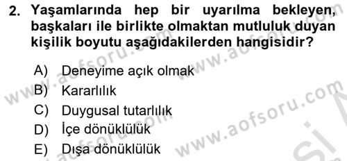 Örgütsel Davranış Dersi 2024 - 2025 Yılı Yaz Okulu Sınav Soruları 2. Soru