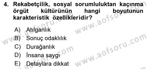 Örgütsel Davranış Dersi 2024 - 2025 Yılı Yaz Okulu Sınav Soruları 4. Soru