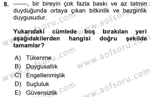 Örgütsel Davranış Dersi 2024 - 2025 Yılı Yaz Okulu Sınav Soruları 8. Soru