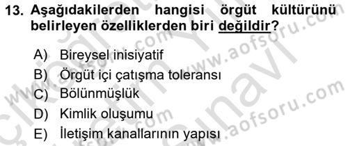 Örgütsel Davranış Dersi 2025 - 2026 Yılı (Vize) Ara Sınav Soruları 13. Soru