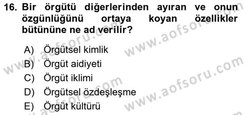 Örgütsel Davranış Dersi 2025 - 2026 Yılı (Vize) Ara Sınav Soruları 16. Soru