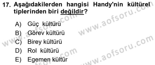 Örgütsel Davranış Dersi 2025 - 2026 Yılı (Vize) Ara Sınav Soruları 17. Soru