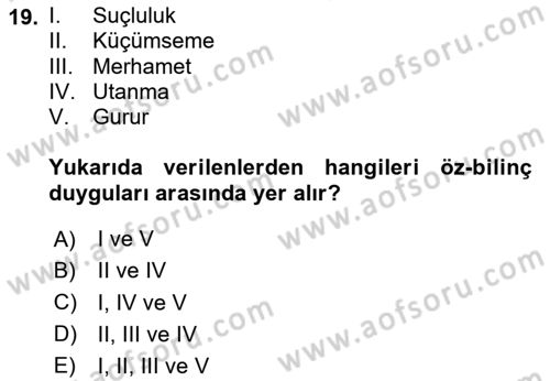 Örgütsel Davranış Dersi 2025 - 2026 Yılı (Vize) Ara Sınav Soruları 19. Soru