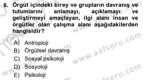 Örgütsel Davranış Dersi 2025 - 2026 Yılı (Vize) Ara Sınav Soruları 6. Soru