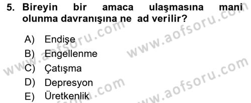 Örgütsel Davranış Dersi 2025 - 2026 Yılı (Final) Dönem Sonu Sınav Soruları 5. Soru