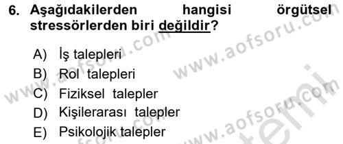 Örgütsel Davranış Dersi 2025 - 2026 Yılı (Final) Dönem Sonu Sınav Soruları 6. Soru