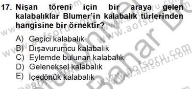 Sosyoloji 2 Dersi 2012 - 2013 Yılı (Final) Dönem Sonu Sınav Soruları 17. Soru