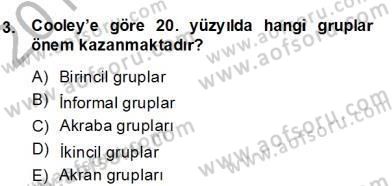 Sosyoloji 2 Dersi 2013 - 2014 Yılı (Final) Dönem Sonu Sınav Soruları 3. Soru