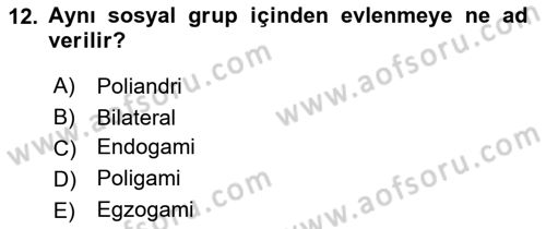 Davranış Bilimleri 1 Dersi 2019 - 2020 Yılı (Vize) Ara Sınavı 12. Soru