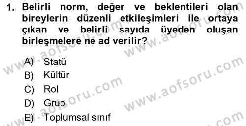 Davranış Bilimleri 1 Dersi 2023 - 2024 Yılı Yaz Okulu Sınavı 1. Soru