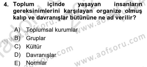 Davranış Bilimleri 1 Dersi 2023 - 2024 Yılı Yaz Okulu Sınavı 4. Soru