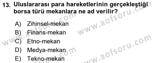 Davranış Bilimleri 1 Dersi 2024 - 2025 Yılı Yaz Okulu Sınav Soruları 13. Soru