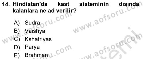 Davranış Bilimleri 1 Dersi 2024 - 2025 Yılı Yaz Okulu Sınav Soruları 14. Soru