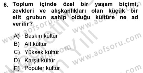 Davranış Bilimleri 1 Dersi 2024 - 2025 Yılı Yaz Okulu Sınav Soruları 6. Soru