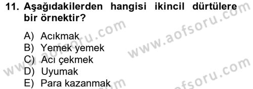 Davranış Bilimleri 2 Dersi 2012 - 2013 Yılı (Vize) Ara Sınav Soruları 11. Soru