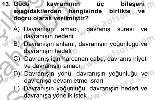 Davranış Bilimleri 2 Dersi 2012 - 2013 Yılı (Vize) Ara Sınav Soruları 13. Soru