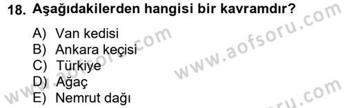 Davranış Bilimleri 2 Dersi 2012 - 2013 Yılı (Vize) Ara Sınav Soruları 18. Soru