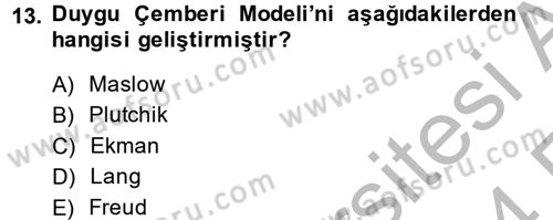 Davranış Bilimleri 2 Dersi 2013 - 2014 Yılı (Vize) Ara Sınav Soruları 13. Soru