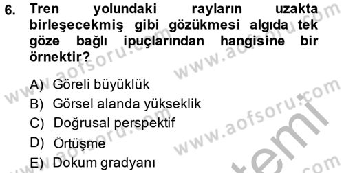 Davranış Bilimleri 2 Dersi 2013 - 2014 Yılı (Vize) Ara Sınav Soruları 6. Soru