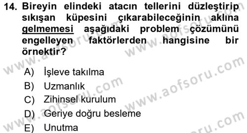 Davranış Bilimleri 2 Dersi 2015 - 2016 Yılı (Vize) Ara Sınav Soruları 14. Soru