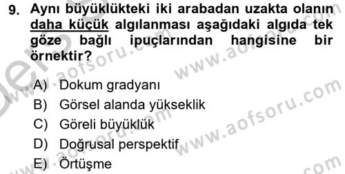 Davranış Bilimleri 2 Dersi 2016 - 2017 Yılı 3 Ders Sınavı 9. Soru