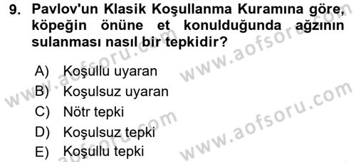 Davranış Bilimleri 2 Dersi 2017 - 2018 Yılı (Final) Dönem Sonu Sınavı 9. Soru
