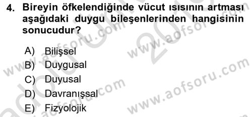 Davranış Bilimleri 2 Dersi 2018 - 2019 Yılı 3 Ders Sınavı 4. Soru