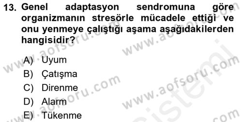 Davranış Bilimleri 2 Dersi 2018 - 2019 Yılı (Final) Dönem Sonu Sınav Soruları 13. Soru