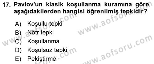 Davranış Bilimleri 2 Dersi 2018 - 2019 Yılı Yaz Okulu Sınav Soruları 17. Soru