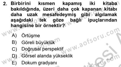 Davranış Bilimleri 2 Dersi 2018 - 2019 Yılı Yaz Okulu Sınav Soruları 2. Soru