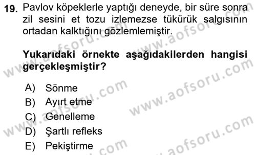 Davranış Bilimleri 2 Dersi 2020 - 2021 Yılı Yaz Okulu Sınav Soruları 19. Soru
