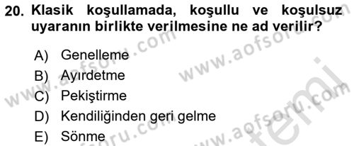 Davranış Bilimleri 2 Dersi 2022 - 2023 Yılı Yaz Okulu Sınav Soruları 20. Soru