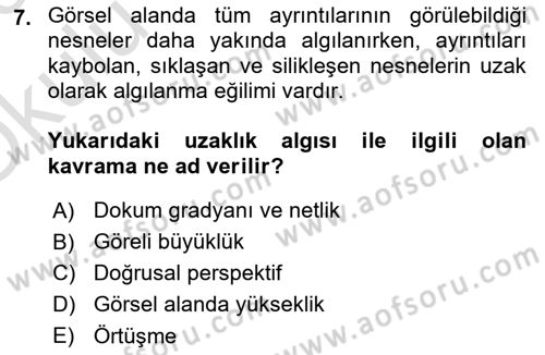 Davranış Bilimleri 2 Dersi 2022 - 2023 Yılı Yaz Okulu Sınav Soruları 7. Soru